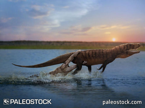 Phytosaur vs rauisuchian stock image