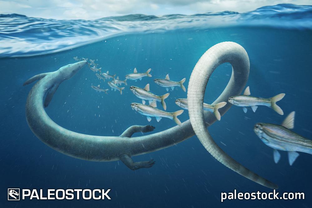 Pleurosaurus stock image