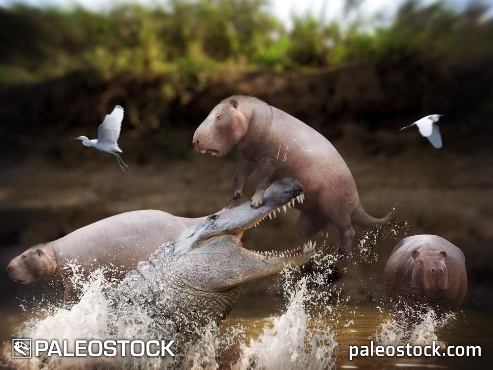 Purussaurus vs Phoberomys stock image