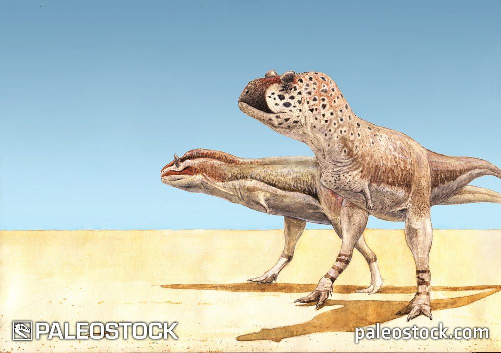 Pycnonemosaurus and Carnotaurus