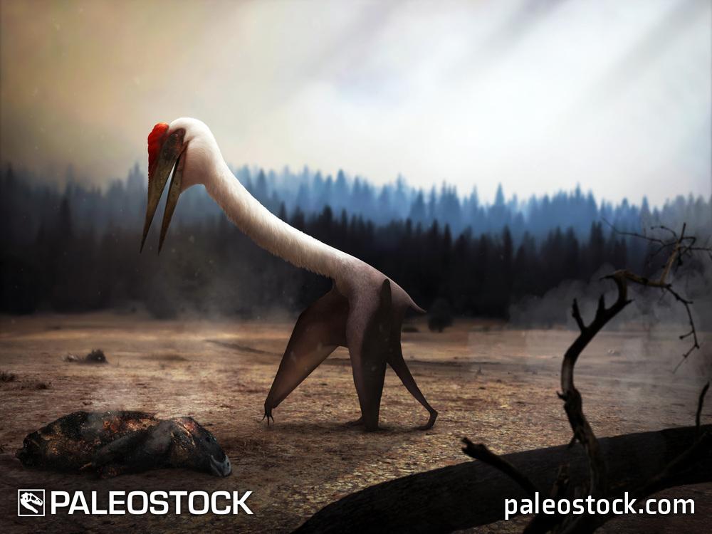 Quetzalcoatlus northropi stock image