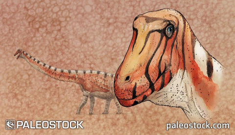 Sarmientosaurus musacchio stock image