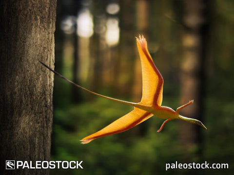 Sharovipteryx mirabilis stock image