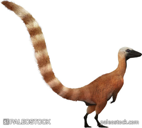 Sinosauropteryx prima stock image