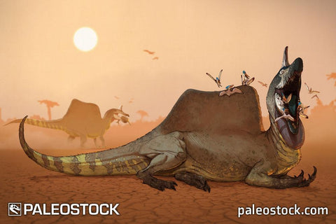 Spinosaurus aegyptiacus stock image