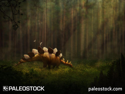 Stegosaurus stenops stock image