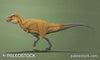 Tyrannosaurus rex - SUE stock image