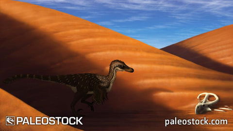 Velociraptor stock image
