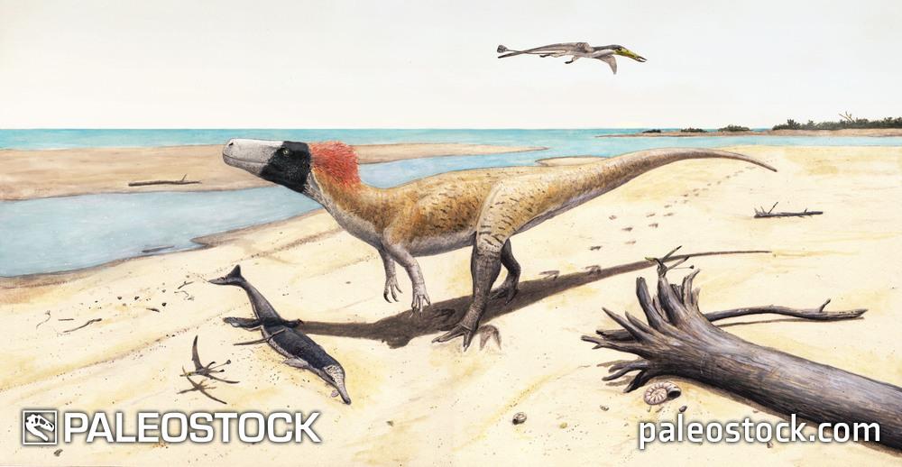 Wiehenvenator albati stock image