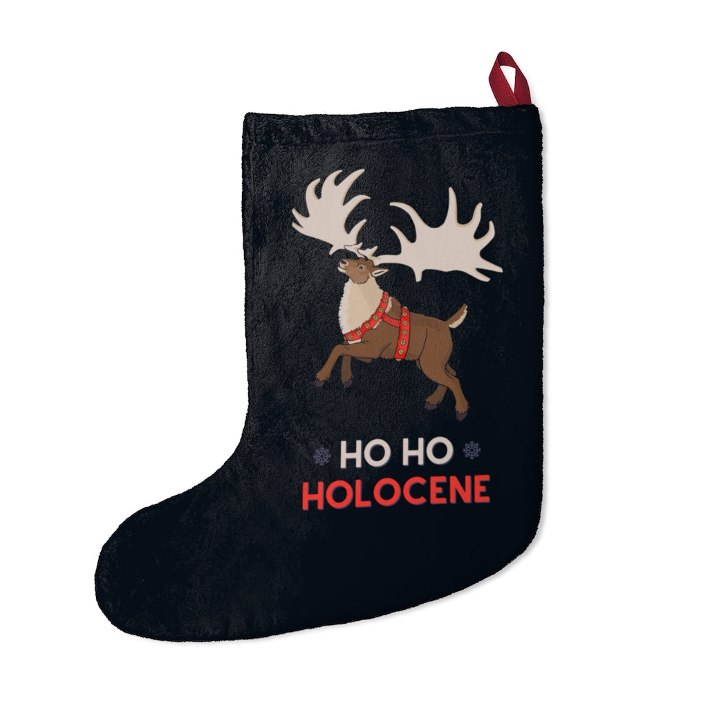 Ho Ho Holocene Christmas stocking