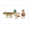 Anatosuchus duck croc postcard with envelope
