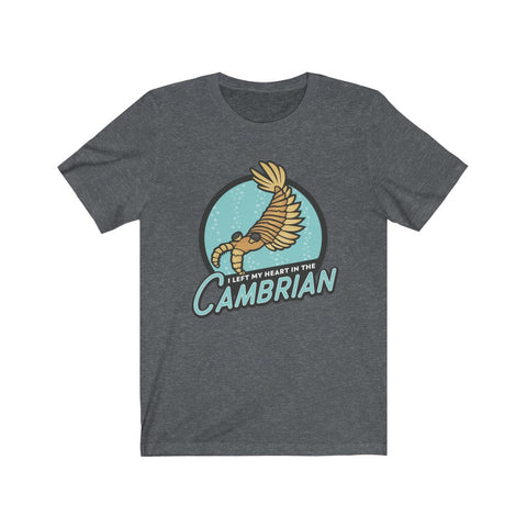 I Left My Heart in the Cambrian t-shirt
