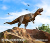 Ceratosaurus On A Rock stock image