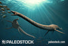 Elasmosaurus stock image