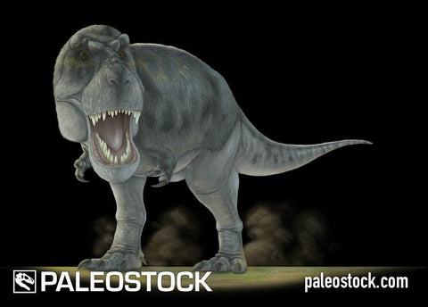 Feathered Tyrannosaurus stock image