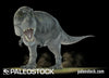 Feathered Tyrannosaurus stock image