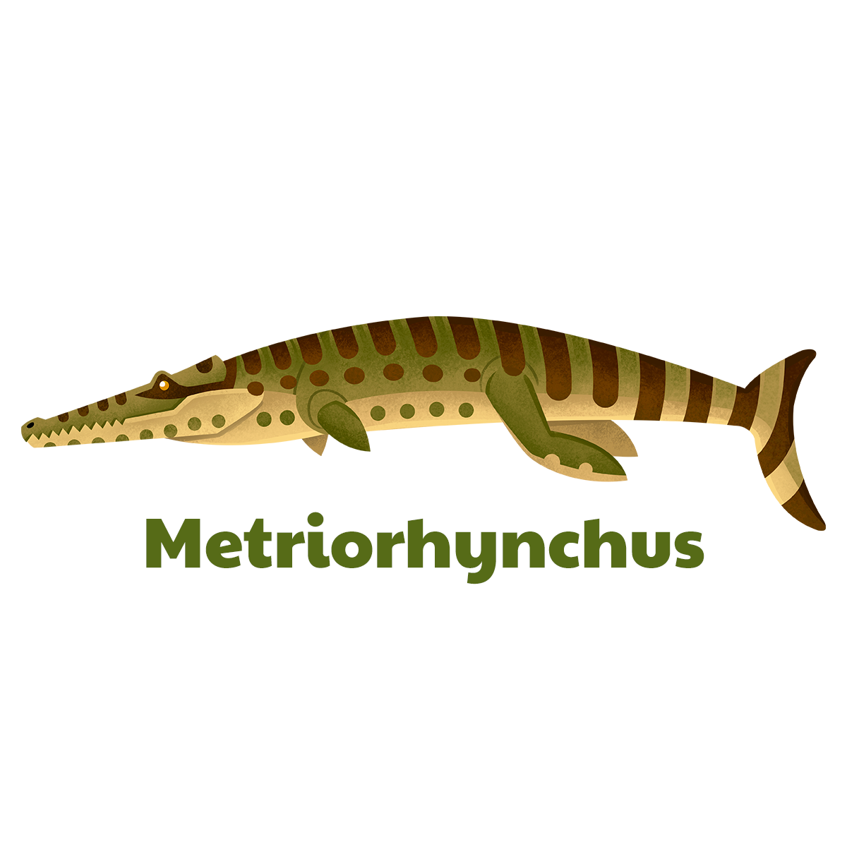 Metriorhynchus t-shirt