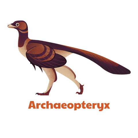 Archaeopteryx t-shirt