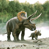 Triceratops With Its Calf stock image