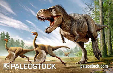 Tyrannosaurus Attacking Two Ornithomimus stock image