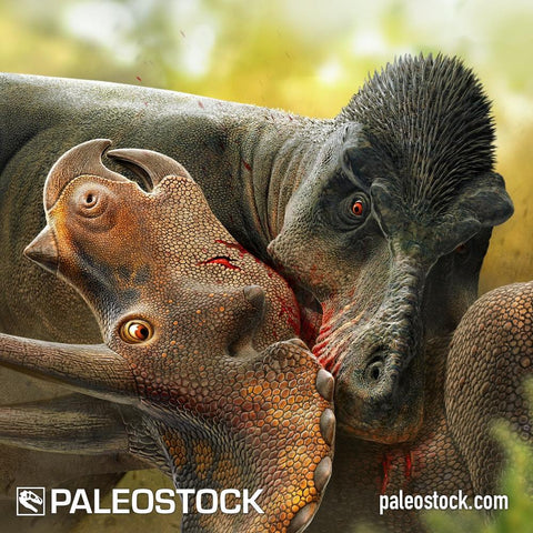 Tyrannosaurus Biting Triceratops stock image