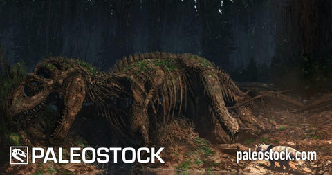 Albertosaurus Skeleton stock image