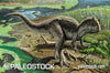 Allosaurus Fragilis stock image