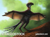 Ambopteryx stock image