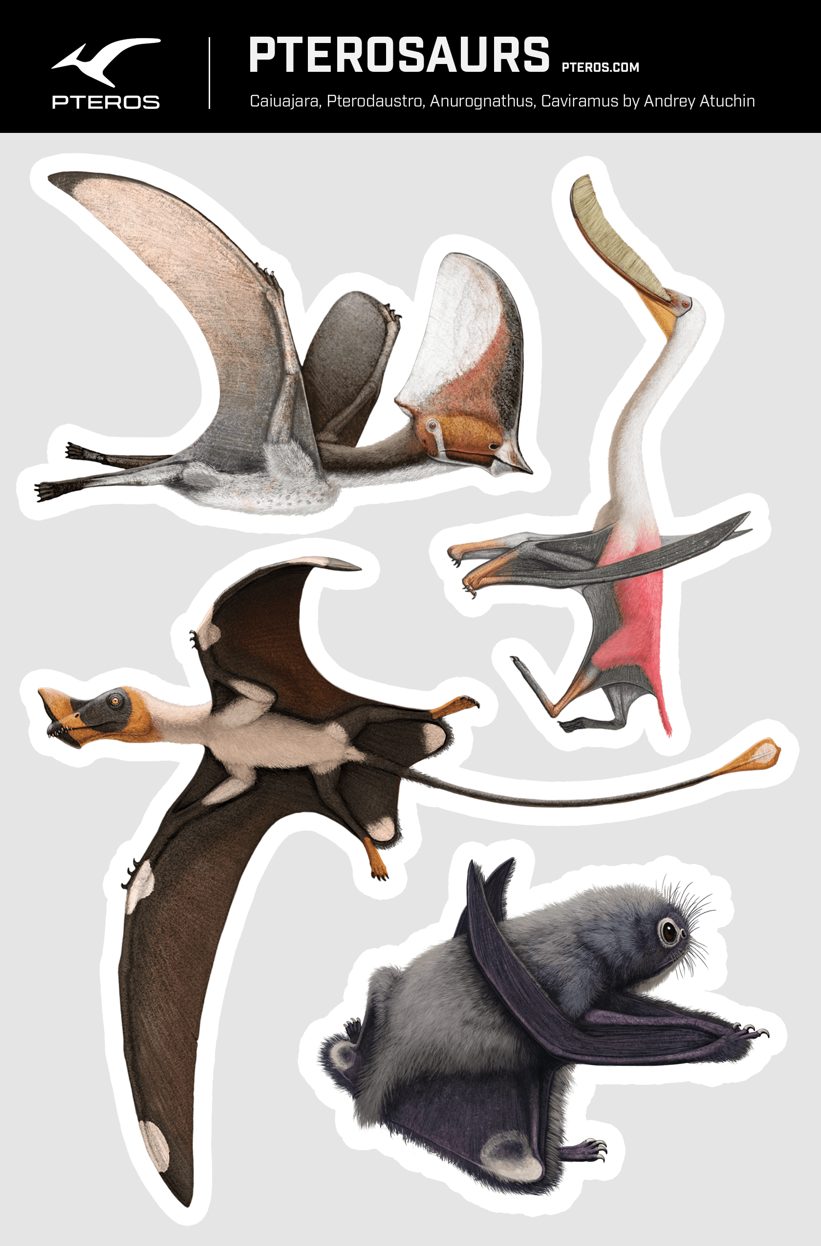 Pterosaurs sticker set of 4 - Caiuajara, Pterodaustro, Anurognathus, Caviramus