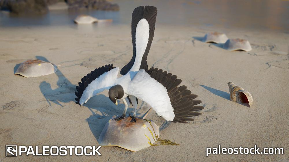 Archaeopteryx stock image