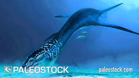 Aristonectes stock image