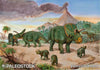 Arrhinoceratops and Albertosaurus stock image