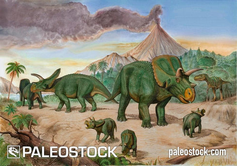 Arrhinoceratops And Albertosaurus stock image