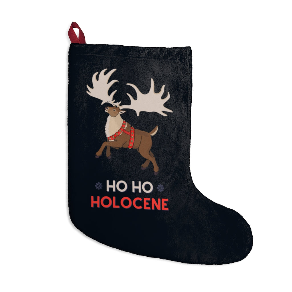 Ho Ho Holocene Christmas stocking