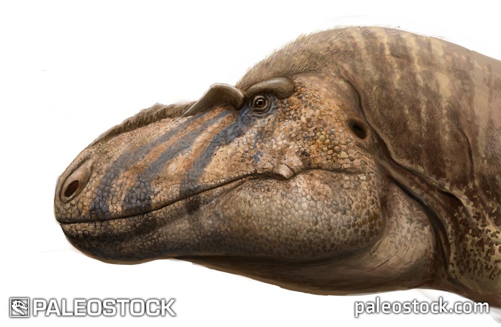 Bistahieversor stock image