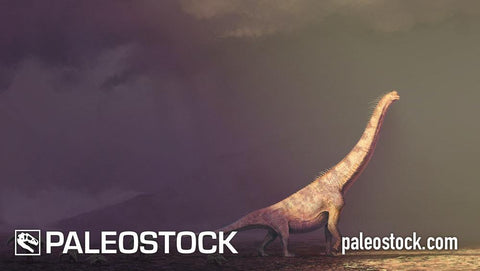 Brachiosaurus altithorax stock image