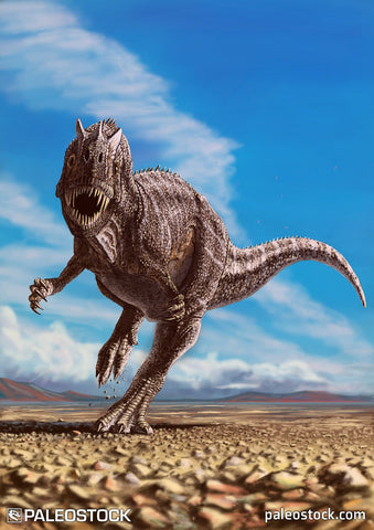 Ceratosaurus nasicornis stock image