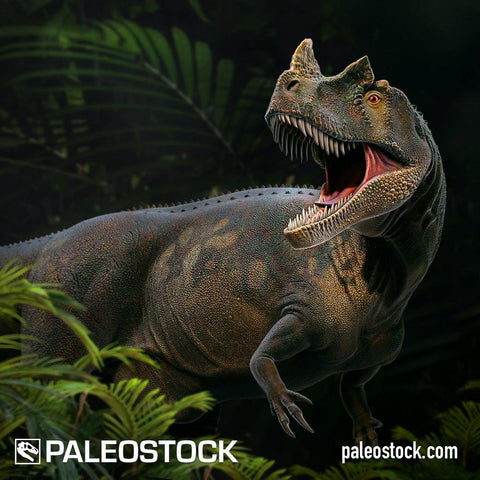 Ceratosaurus stock image
