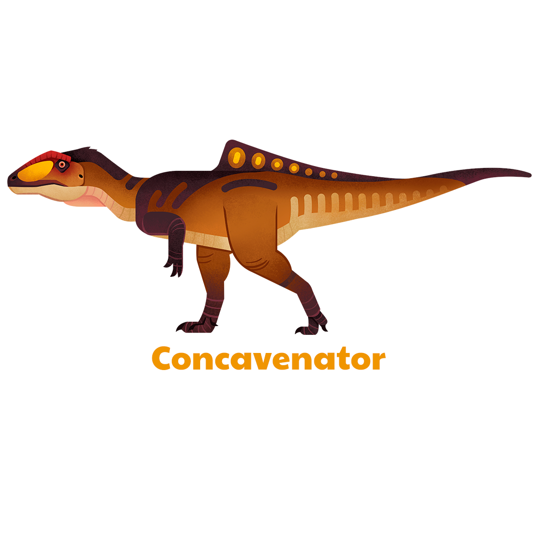 Concavenator unisex t-shirt