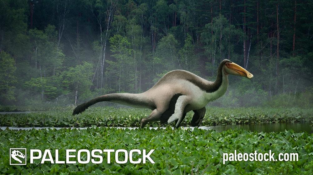 Deinocheirus stock image