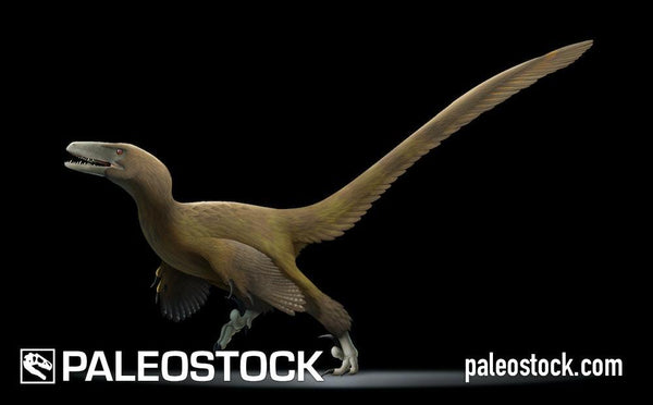 Deinonychus Royalty-Free Images, Stock Photos & Pictures