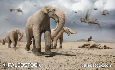 Deinotherium and Bear Dogs stock image