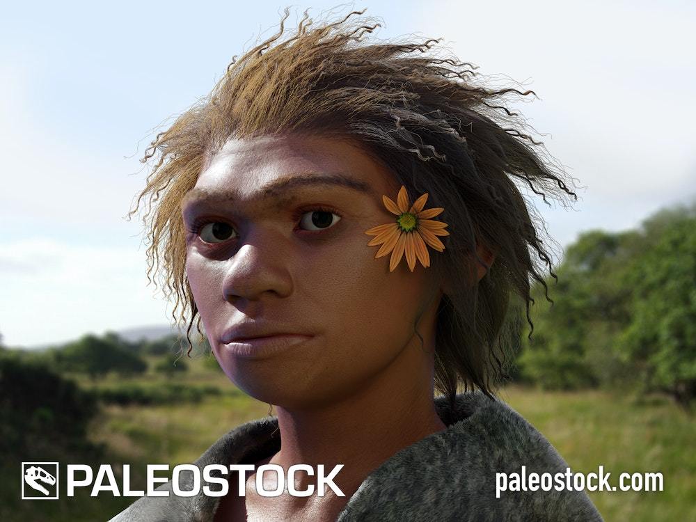 Denisovan stock image