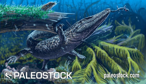 Diandongosuchus Fuyuanensis stock image