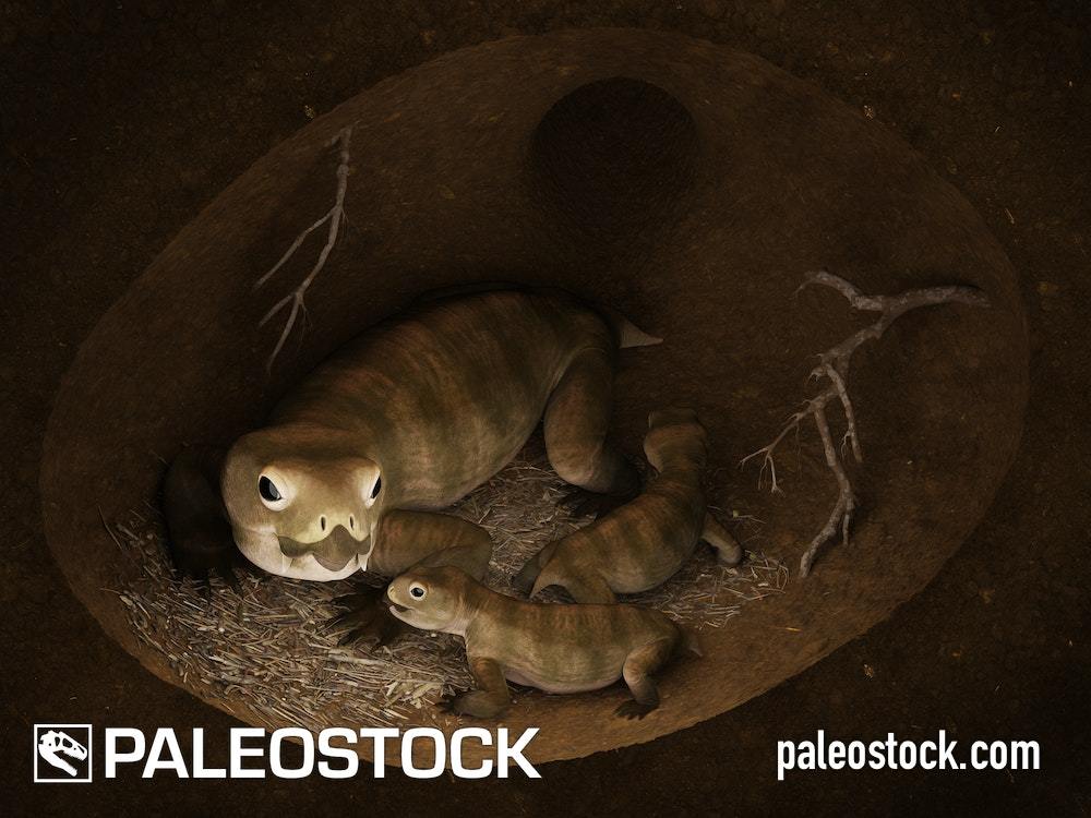 Diictodon Burrow stock image