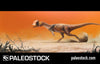 Dilophosaurus On The Run stock image