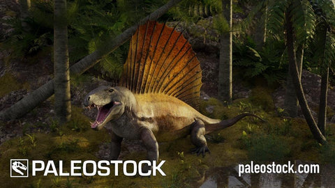 Dimetrodon stock image