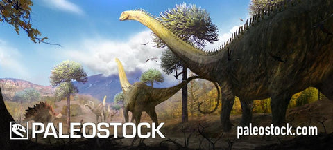 Diplodocus Herd stock image