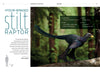 Discovery Collection: Raptors (digital zine)