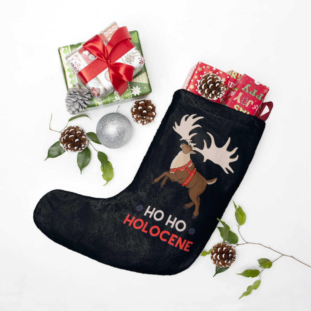 Ho Ho Holocene Christmas stocking